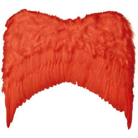 Alas de Pluma . 80 x 75cm