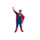 Disfraz de SuperHéroe. Talla 11-14