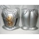 Coraza o Armadura de Romano,Leon.pvc