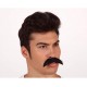 Bigote negro.