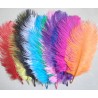 Plumas de Avestruz.Surtidas,28-32cms