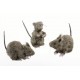 Ratas Peludas ,3 modelos.
