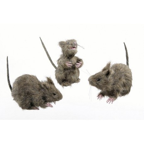 Ratas Peludas ,3 modelos.