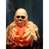 Calabaza con Calavera y luz .30CM