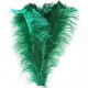 Plumas de Avestruz.28-35 cm,sueltas Surtidas.