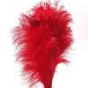Plumas de Avestruz.28-35 cm,sueltas Surtidas.