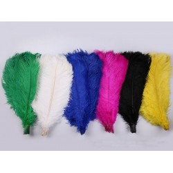 Plumas de Avestruz.28-35 cm,sueltas Surtidas.