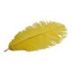 Plumas de Avestruz.28-35 cm,sueltas Surtidas.
