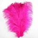 Plumas de Avestruz.Surtidas.40-45cms