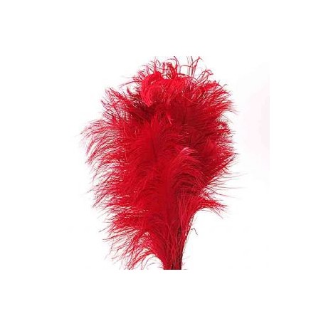 Plumas de Avestruz.Surtidas.40-45cms