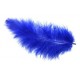 Plumas de Avestruz.Surtidas.40-45cms