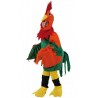 Disfraz de Gallo .Talla 5-6