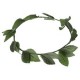 Corona de Laurel,Hojas Verde