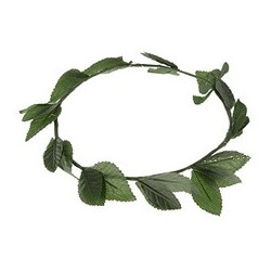 Corona de Laurel,Hojas Verde