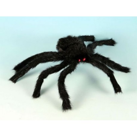 Araña negra peluda con ojos rojos.hALLOween
