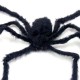 Araña negra peluda con ojos rojos.hALLOween