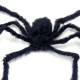 Araña negra peluda con ojos rojos.hALLOween