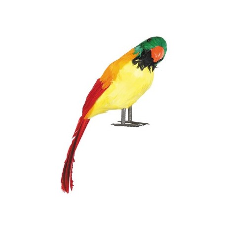 Loro Multicolor Plumas 40cm