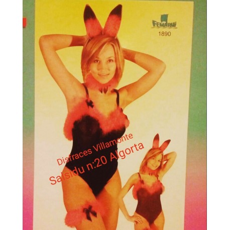 Lencería de Conejito,Negro.Talla Unica