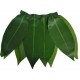 Falda Hawaiana,de hojas