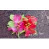 Flor Hawaiana..con pinza