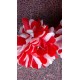 Flor-Clavel doble ,Bicolor roja y blanca