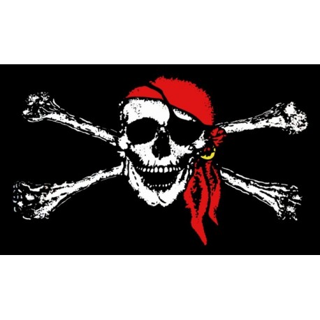Bandera Pirata de tela..